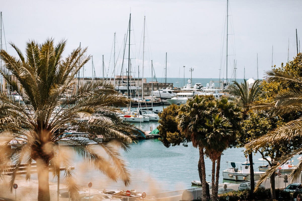 Jachthafen mit Palmen und Segelbooten am Meer.