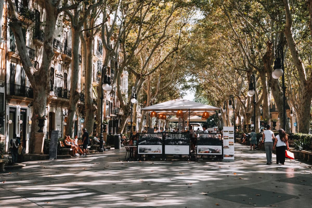 Boulevard mit Bäumen und Straßencafé bei Sonnenschein.