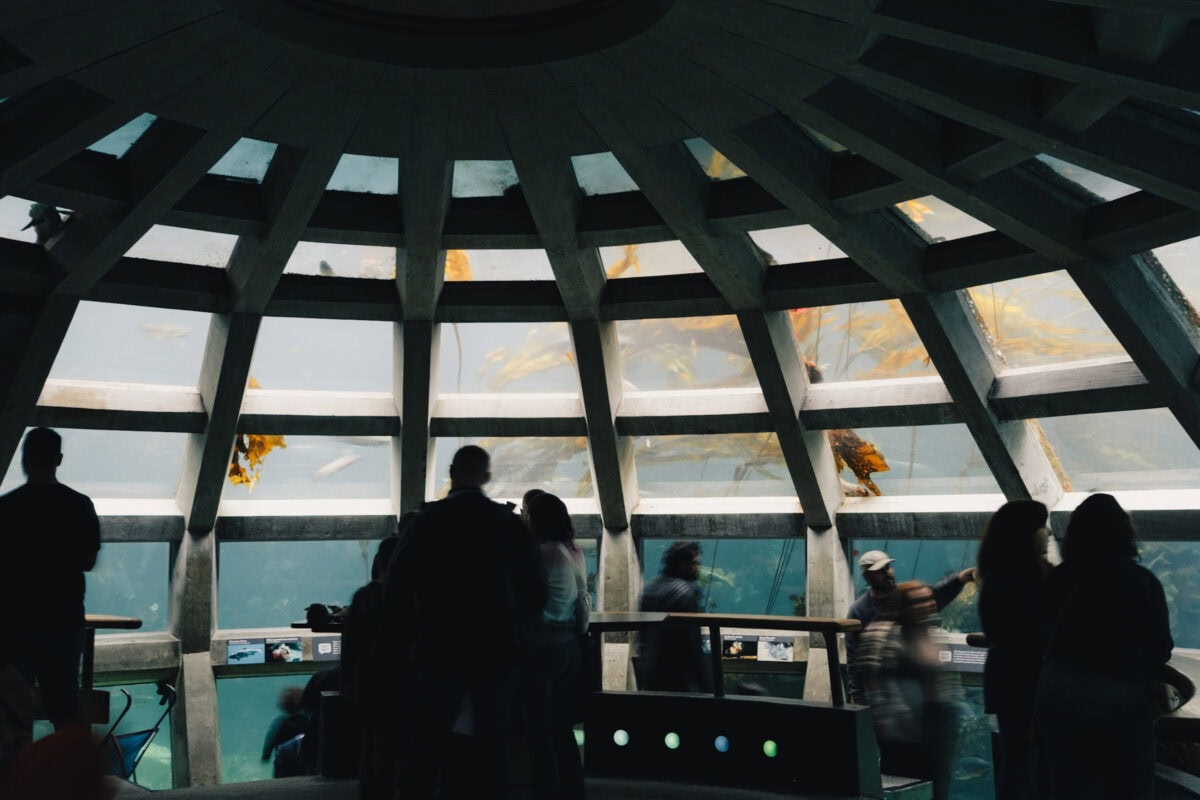 Seattle Aquarium