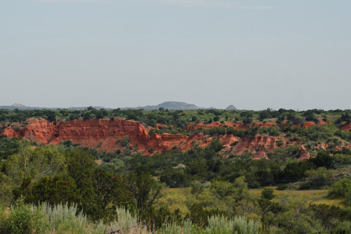 Grüne Landschaft mit roten Felsen und Hügeln.