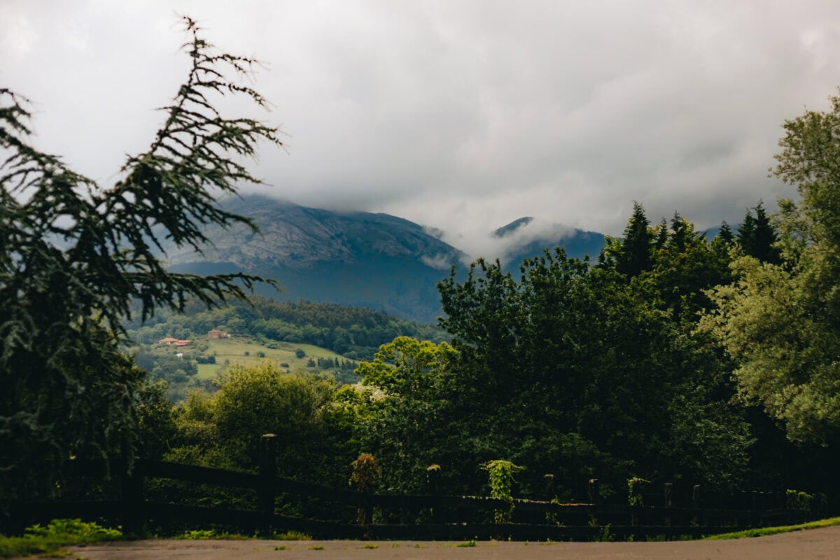 Wolkenverhangene Berge hinter grünen Bäumen und Wiese.