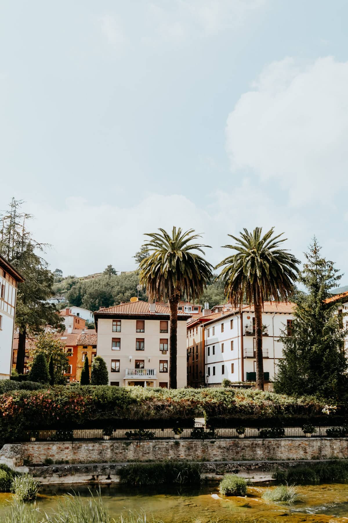 Palmen vor Häusern in sonniger Umgebung