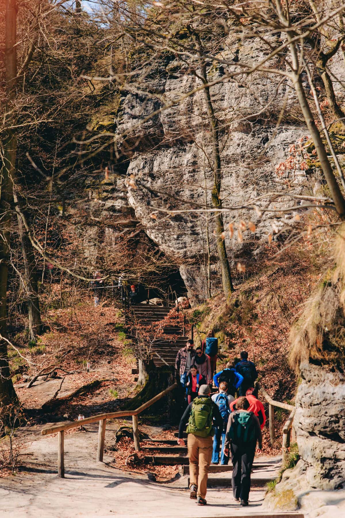 Hikers climb stairs along a rock face in the forest