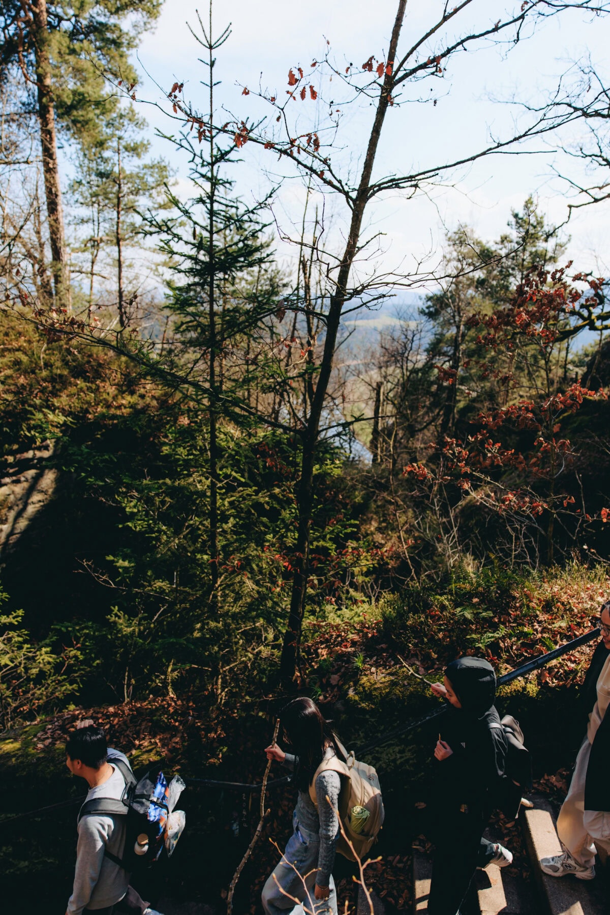 Hikers with rucksacks in the autumn forest