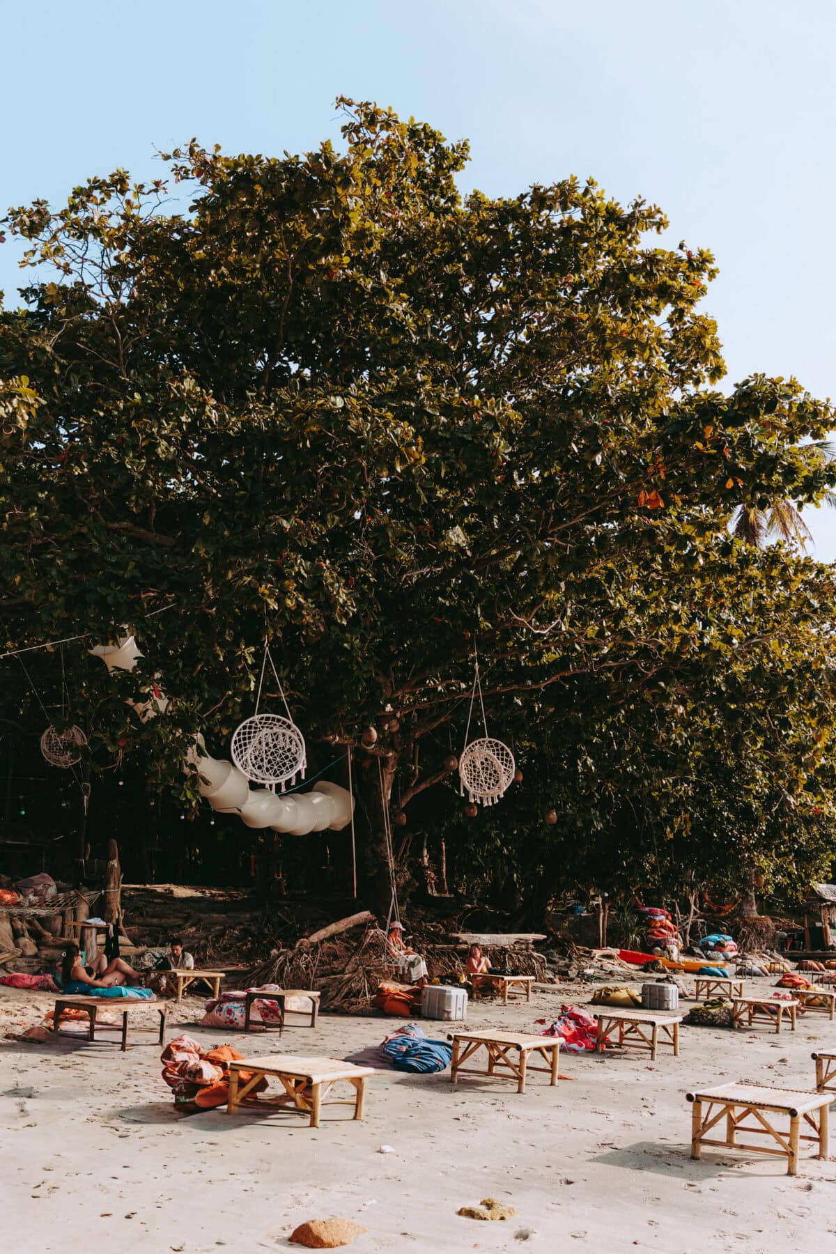 Strand mit großem Baum und Hängedekorationen