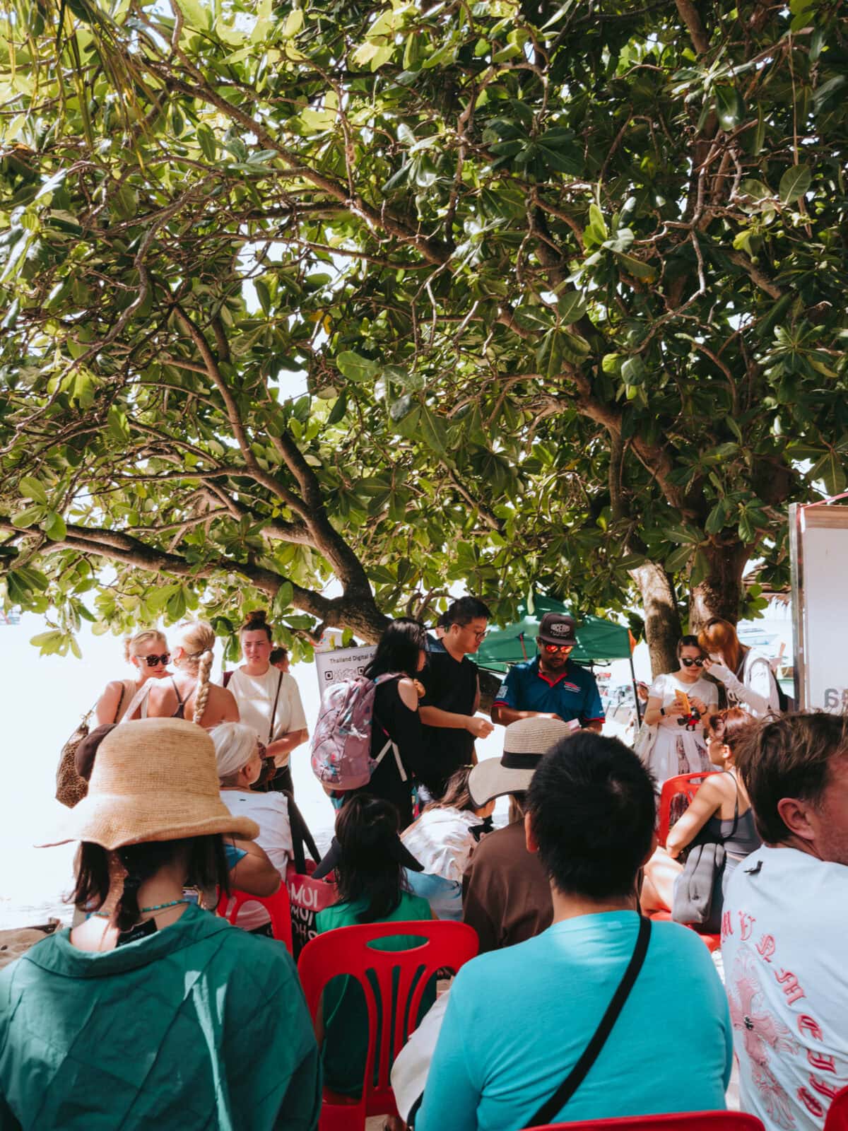 Touristen unter großem Baum am Strand