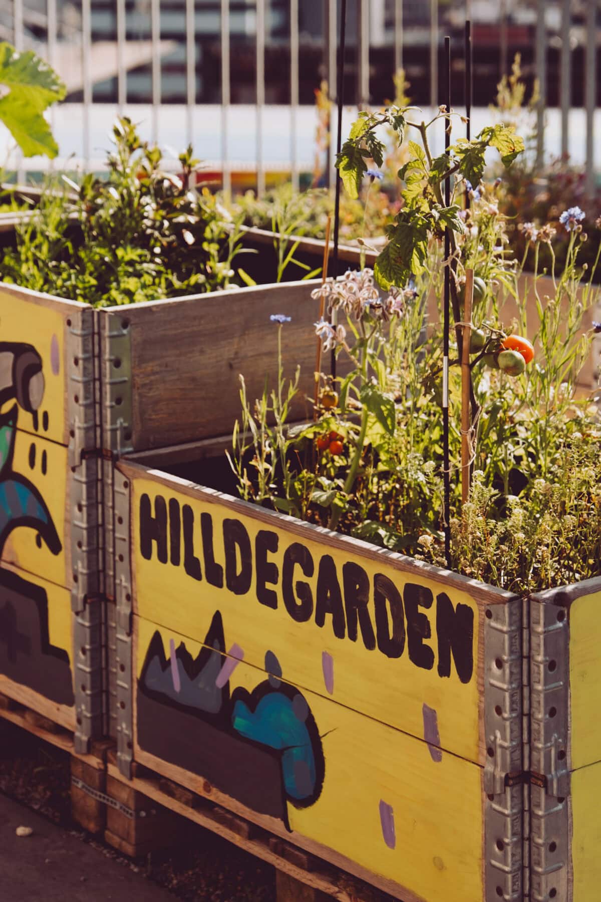 Bunte Hochbeete im HildesGarden in Hamburg, urbanes Gartenprojekt.