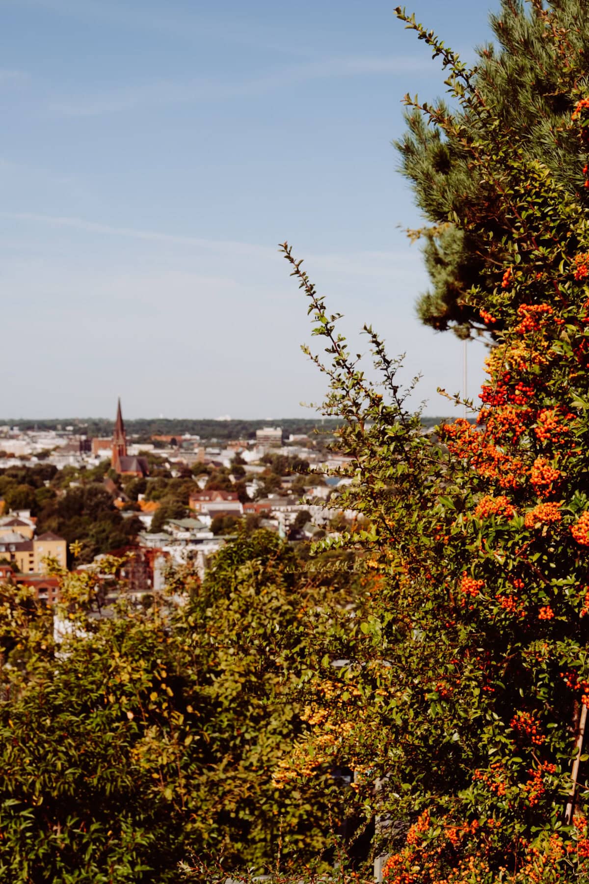Blick auf Hamburg mit grünen Bäumen und Stadt im Hintergrund.