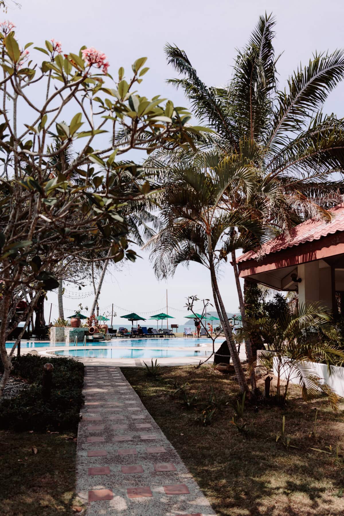 Tropisches Resortpool mit Palmen und Meerblick
