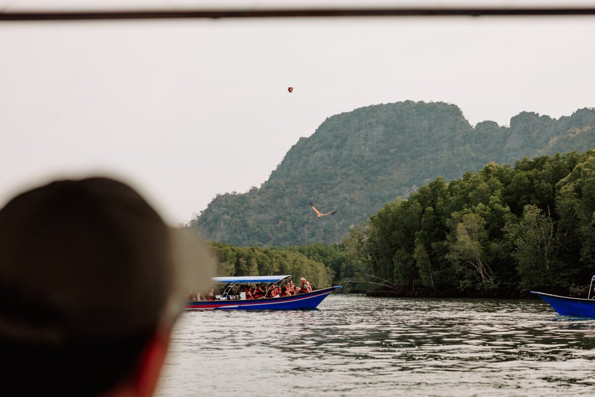 Touristenboot auf dem Fluss mit Bergen und Vögeln